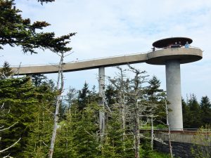 Clingmans's Dome, Tennessee