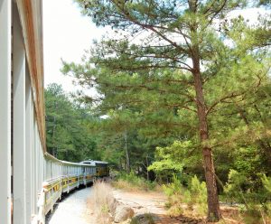 Train at Stone Mountain State Park