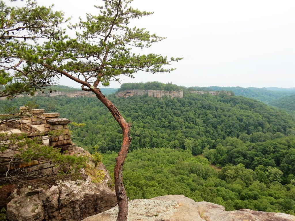 Chimney Top Rock in Kentucky